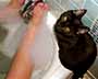 Cat & Foot in Bathtub